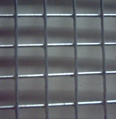 concertina wire fence