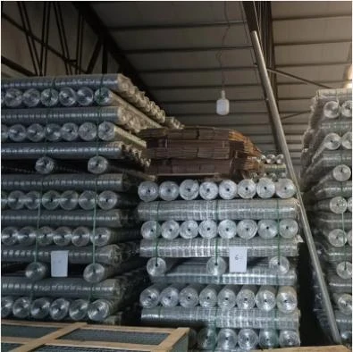 Quality Iron Nails Available for Purchase at Competitive Prices Now