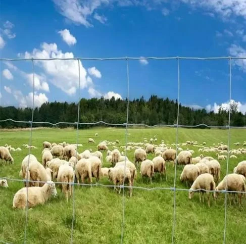 metal mesh panels for fencing