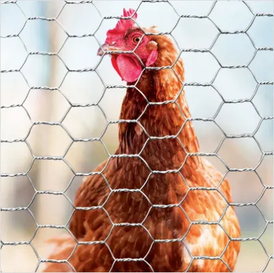 The Versatility of Chicken Wire: Uses, Types, And Manufacturing