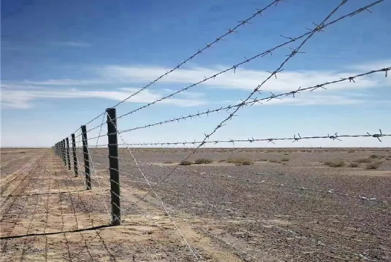 Read More About barb wire on fence