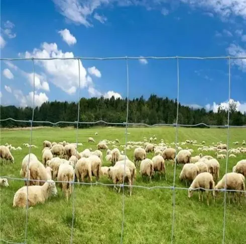 Diamond Mesh Fence: A Stylish Shield for Your Property