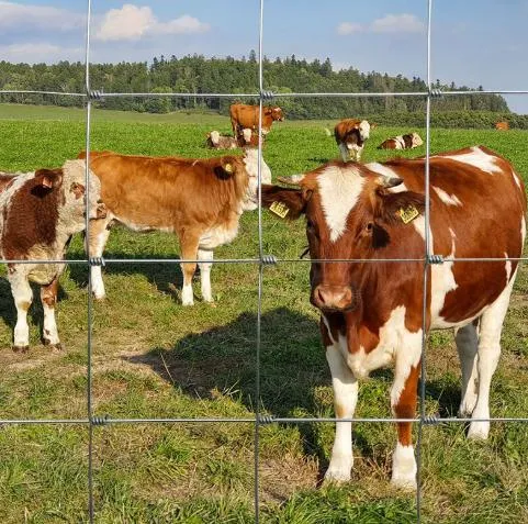 Field Fencing: Durable and Dependable for Your Fields