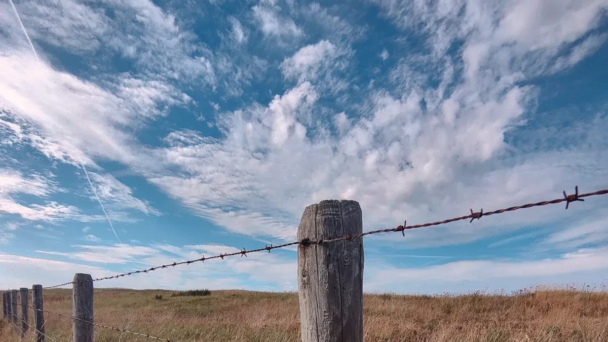 Barbed Wire Explained: Uses You Should Know