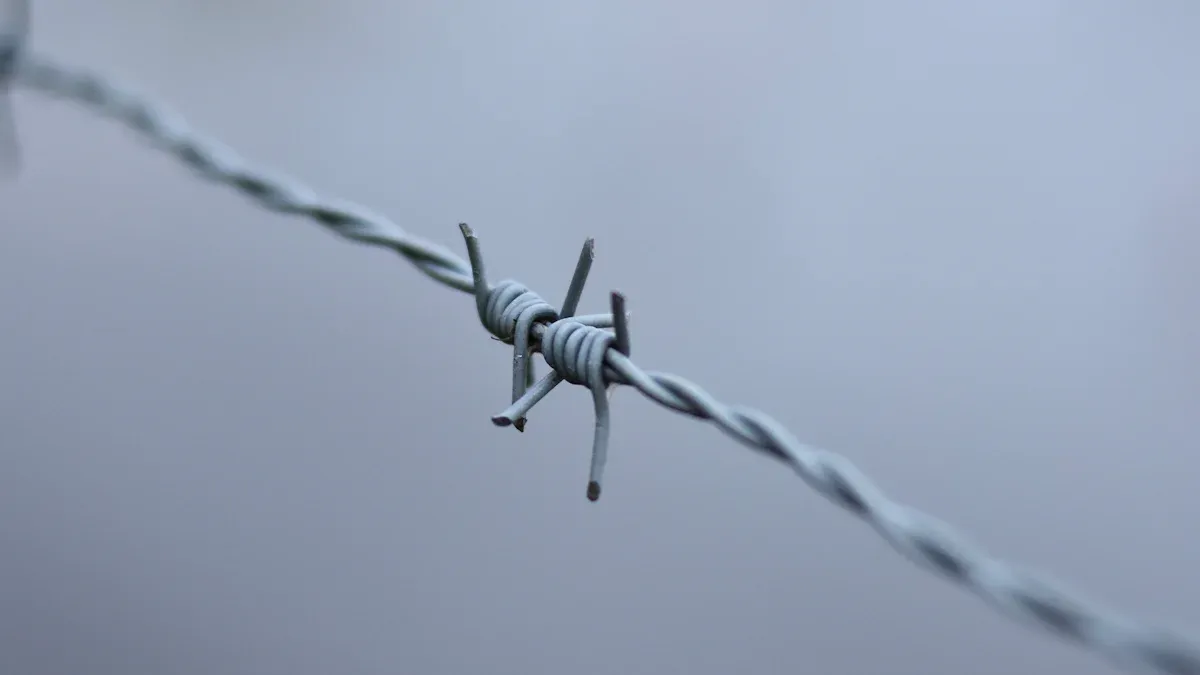 Barbed Wire Explained: Uses You Should Know