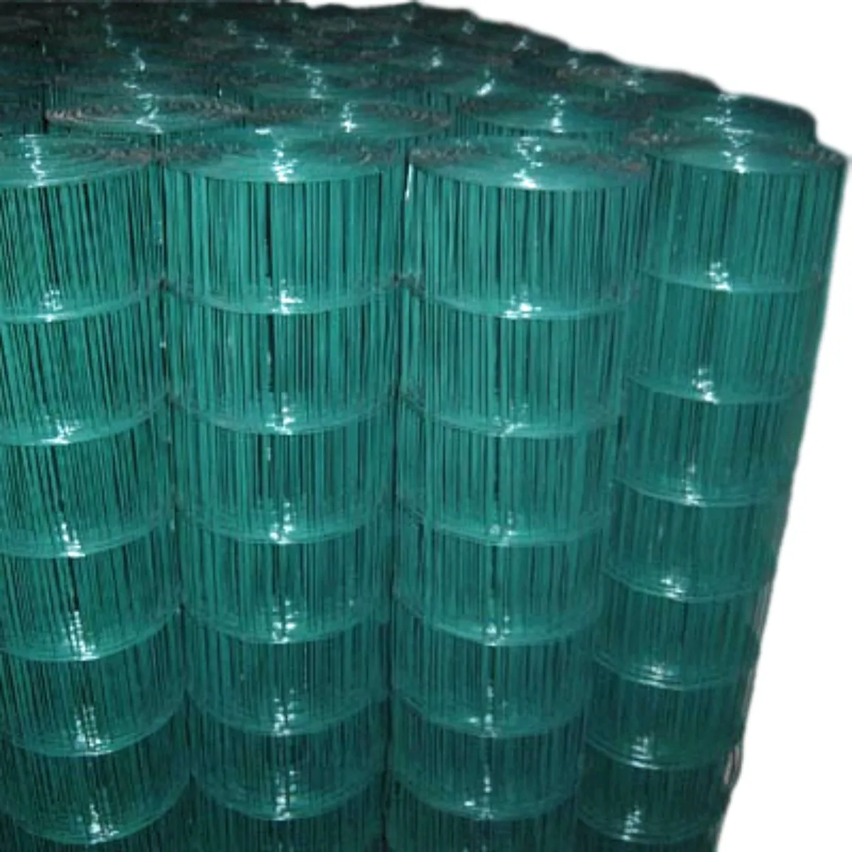 Durable Wire Mesh Solutions for Safe and Comfortable Bird Cages