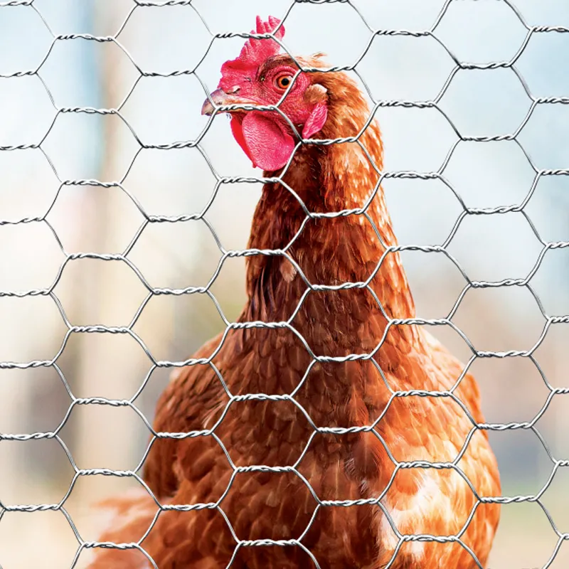 u channel fence post u channel fence post