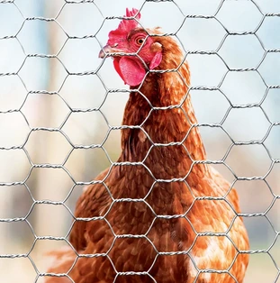 Hex Wire Netting Agricultural Fencing for Poultry Containment Hex Wire Netting Agricultural Fencing for Poultry Containment