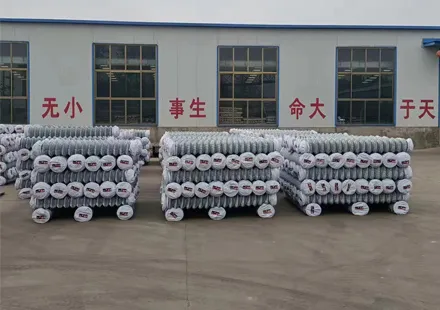 Exploring the Corrosion Resistance of Iron Nails in Different Environmental Conditions and Their Practical Applications