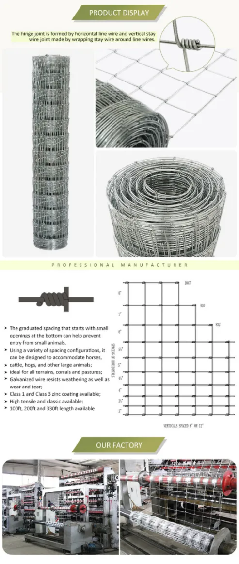 Durable Galvanized Steel Wire Mesh for Various Applications and Uses