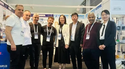 A Arm Car Components that Premium Suspension for Hyundai Santa Fe