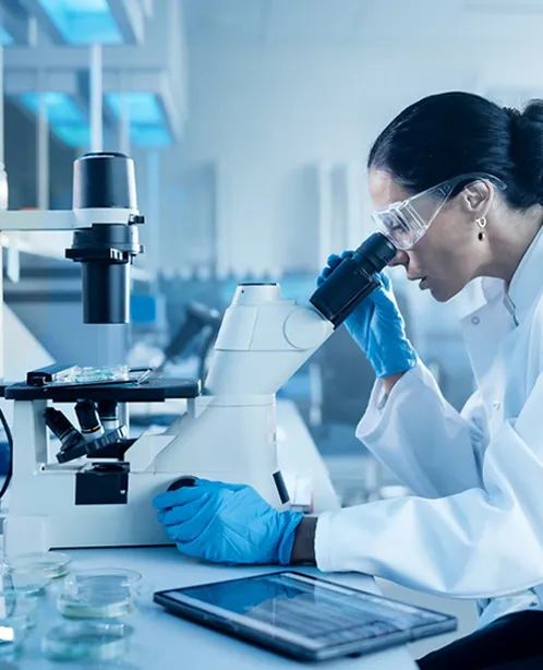 Read More About benzotriazole price