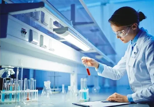 Cake Emulsifier - The Key to Perfectly Moist and Fluffy Cakes Cake Emulsifier - The Key to Perfectly Moist and Fluffy Cakes