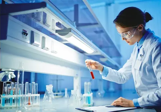 Exploring the Benefits and Uses of 950 and 951 Sweeteners in Modern Food Industry