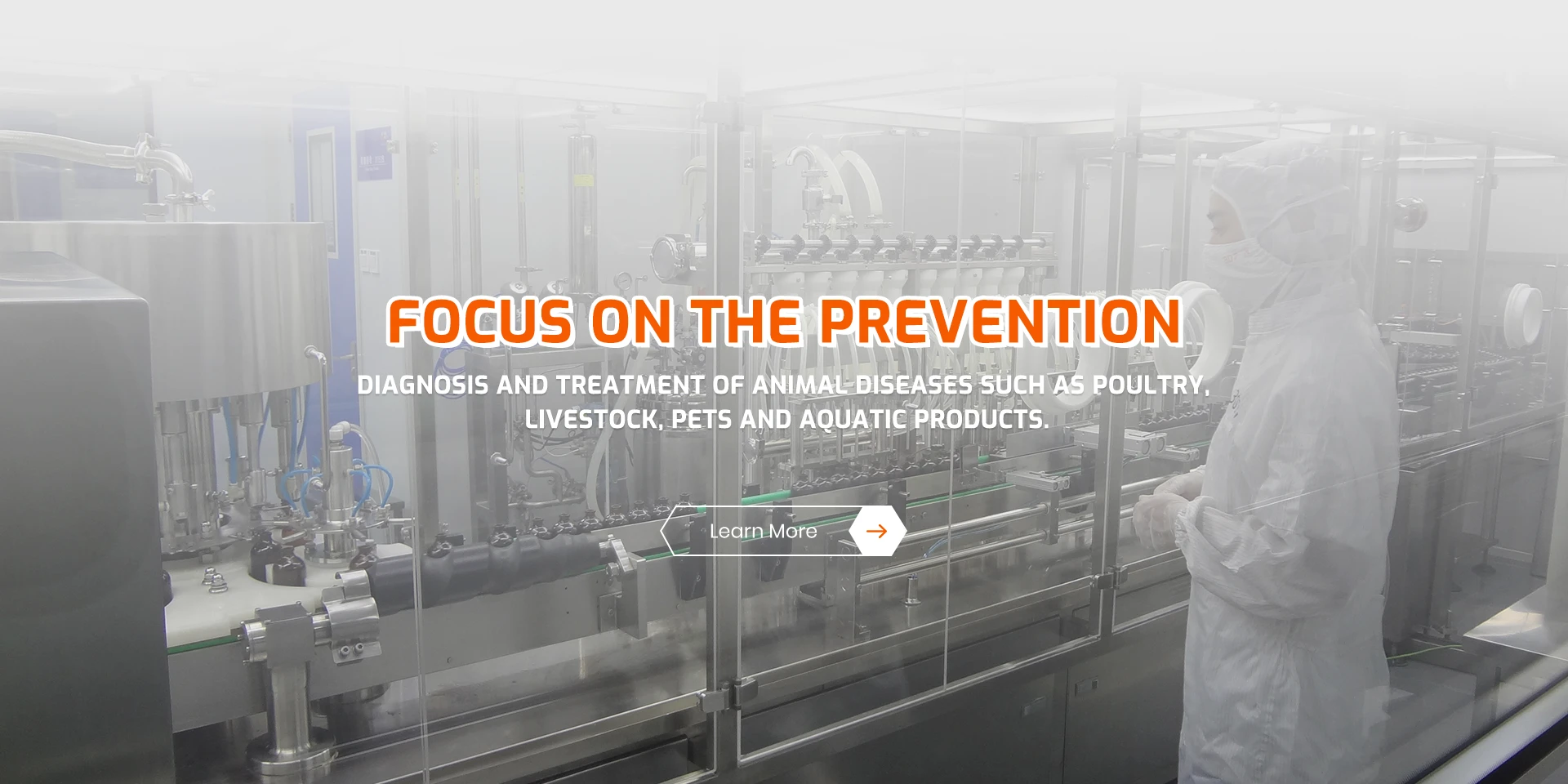 vitamins for older cats