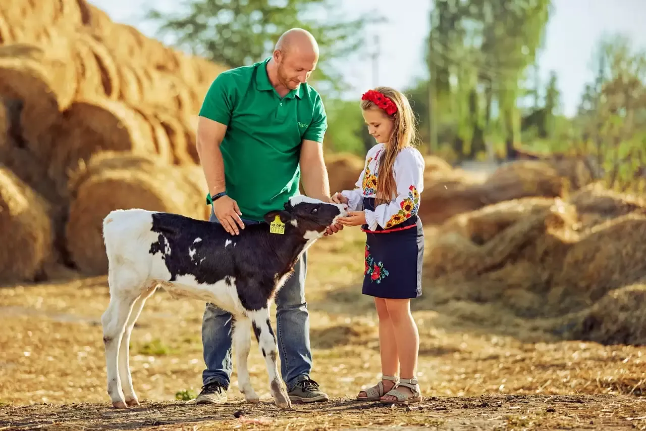 veterinary calcium powder Performance Analysis