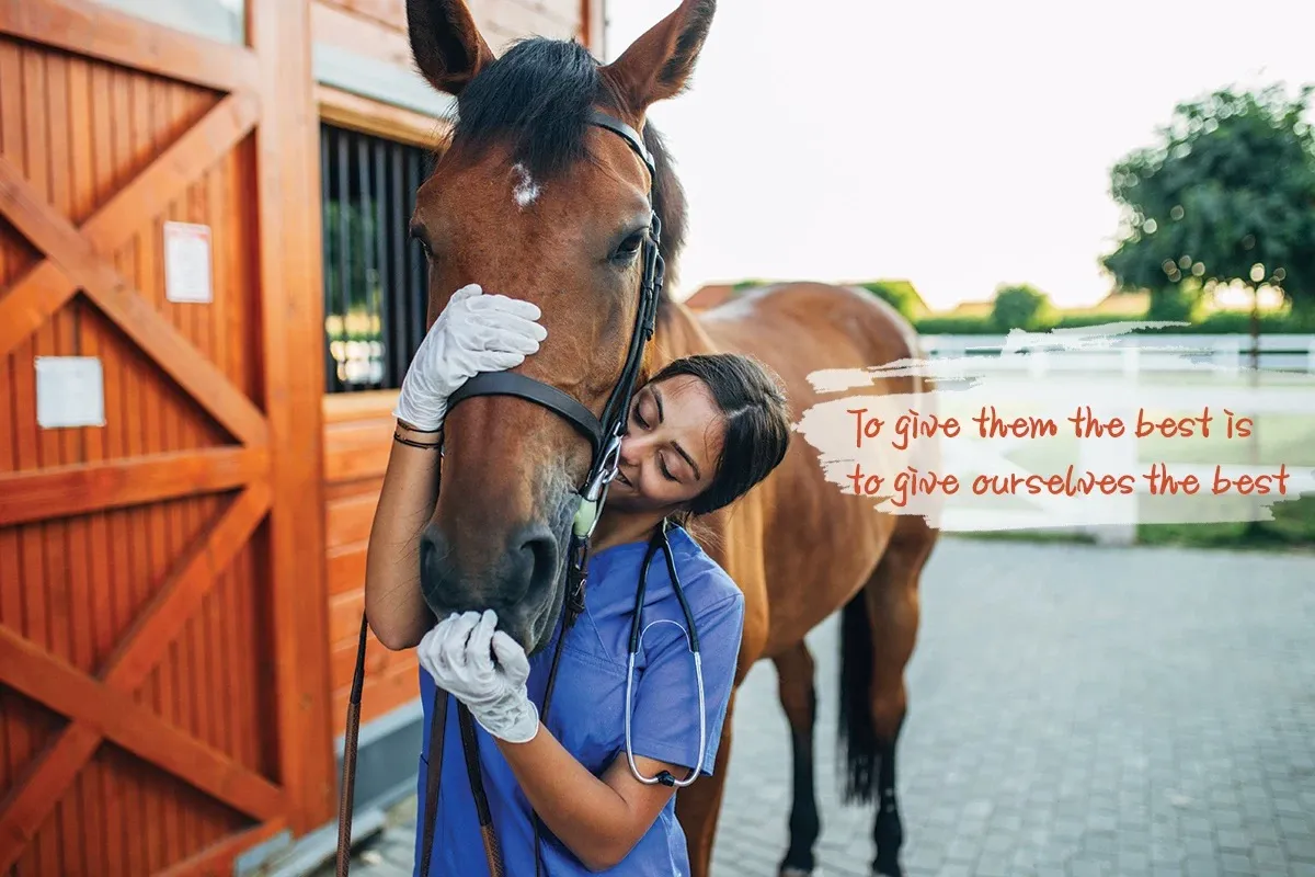 veterinary disinfectants