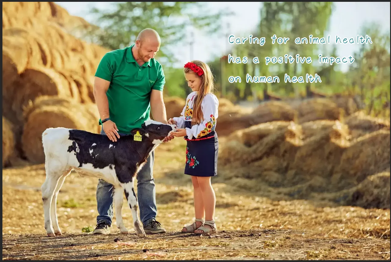 digester powder veterinary Performance Analysis