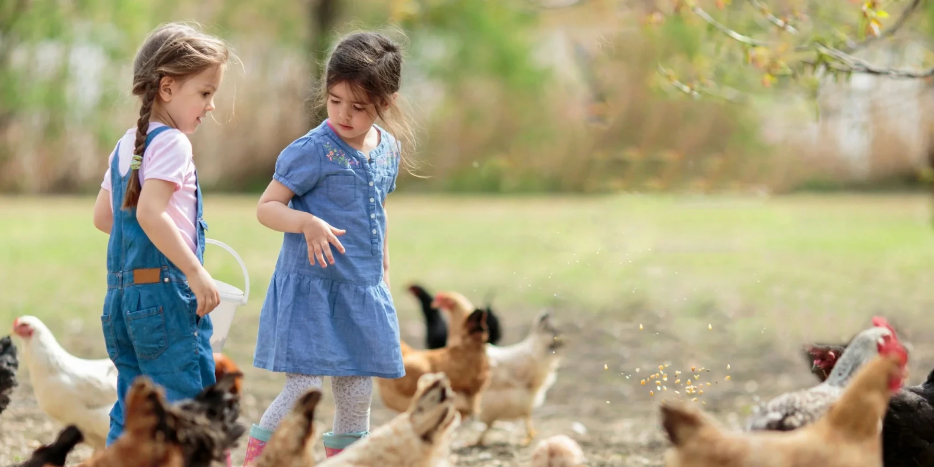 We are committed to a healthier and more sustainable future for people and animals, we strive to be the most trusted animal health company and work for a healthier world for all.