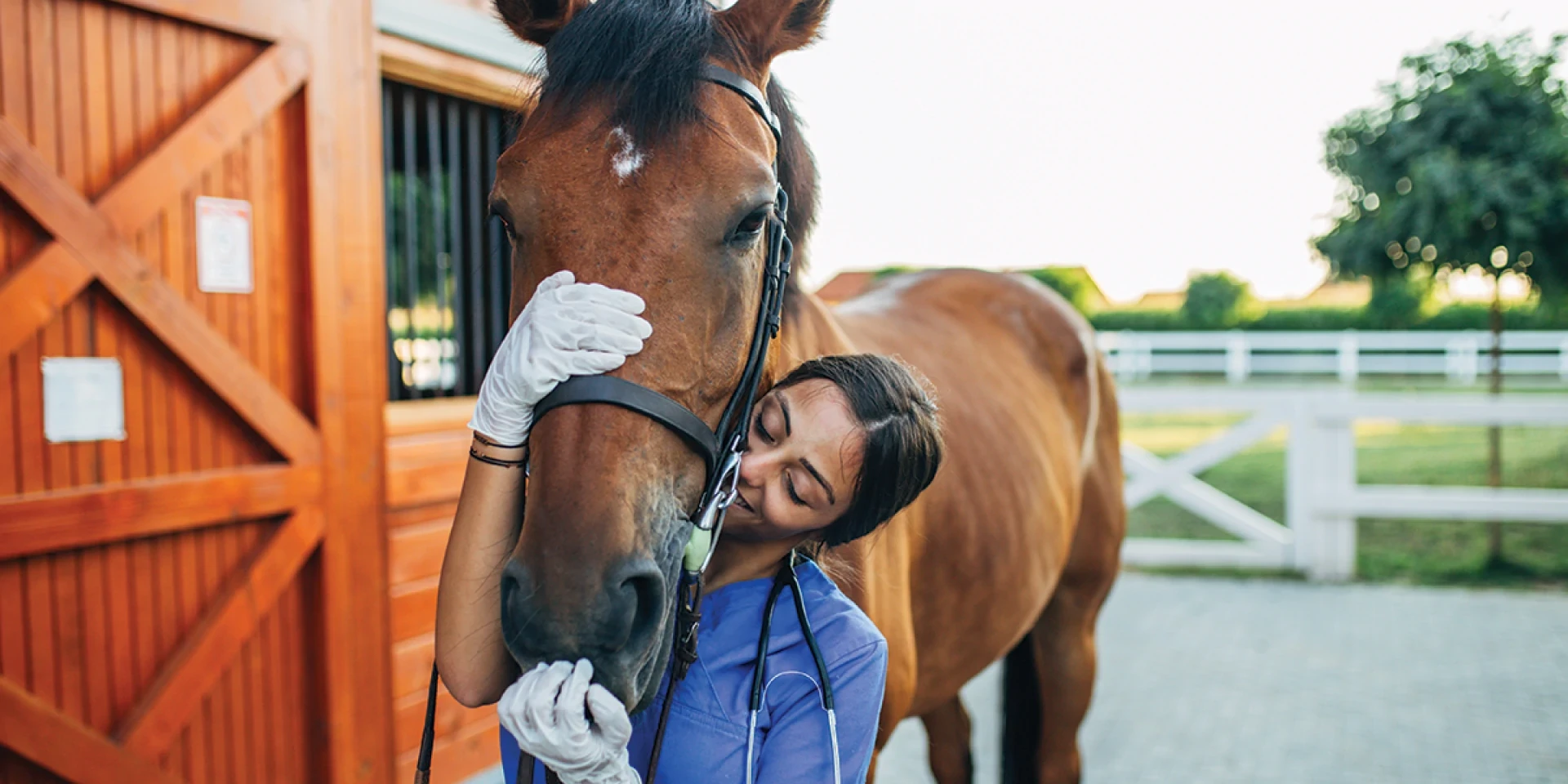 To give them the best is to give ourselves the best.