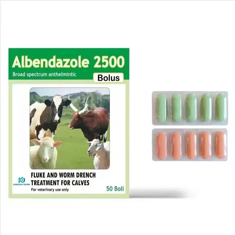 Albendazole Tablet 2500mg