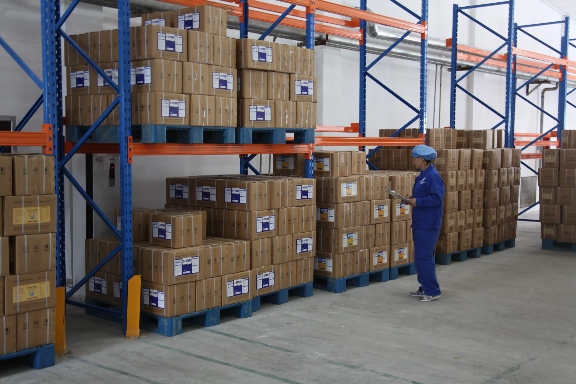 powdered dog vitamins