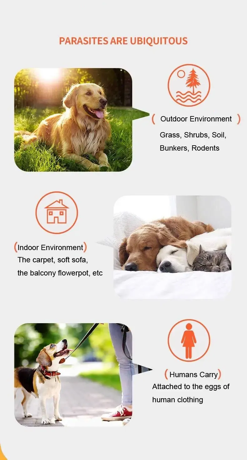 after taking albendazole tablets