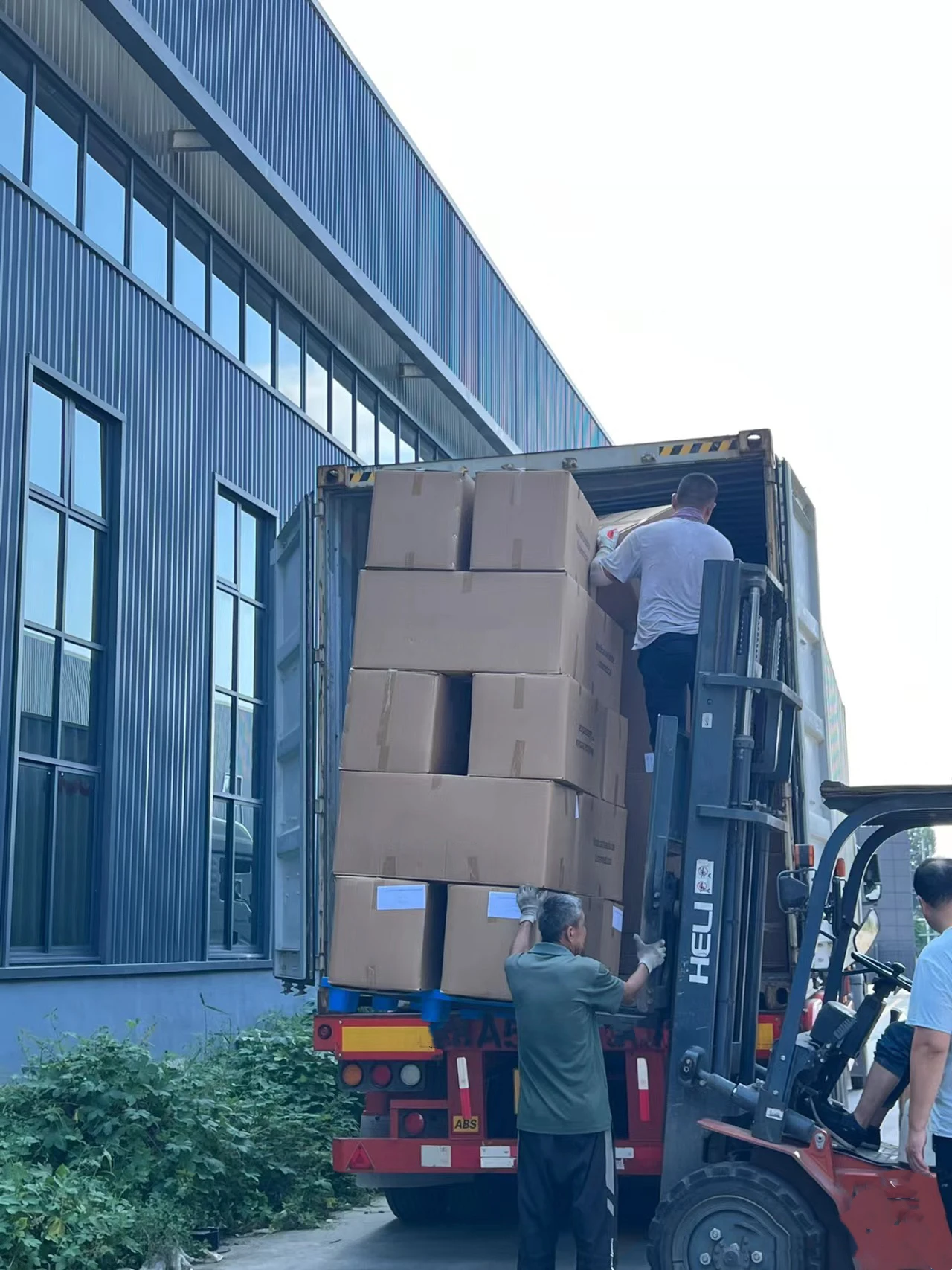 veterinary disinfectant comparison