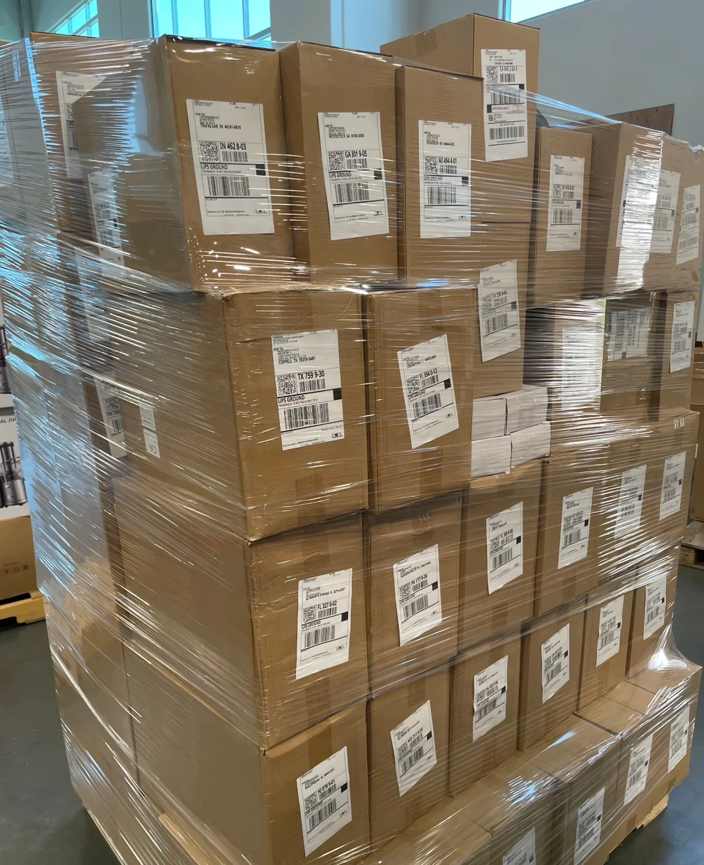 puppy vitamins and supplements