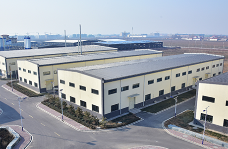 essential vitamins for dogs