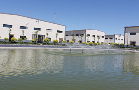 veterinary antibacterial powder