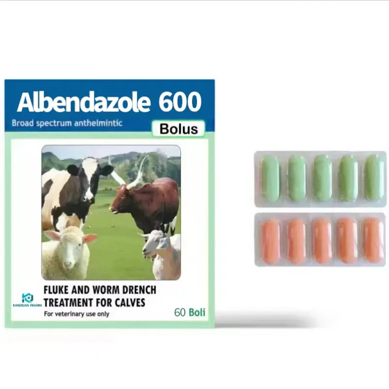 Albendazole Tablet 600mg