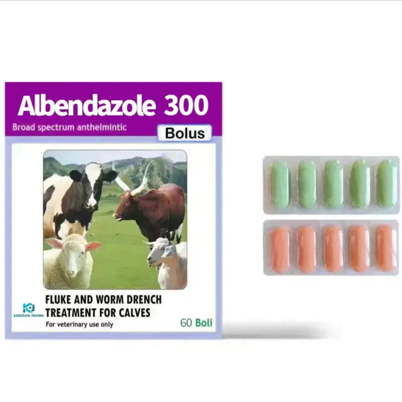 Albendazole Tablet 300mg