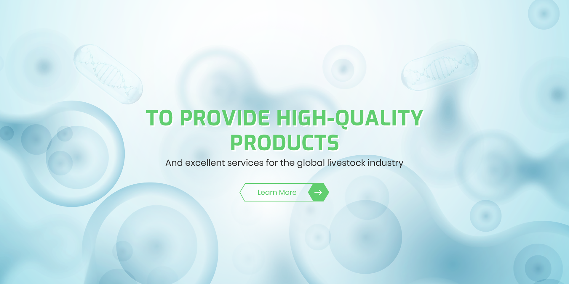 vitamins for elderly cats