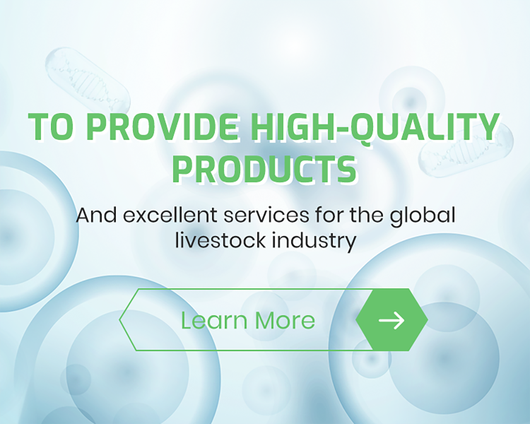 veterinary tablets list Performance Analysis