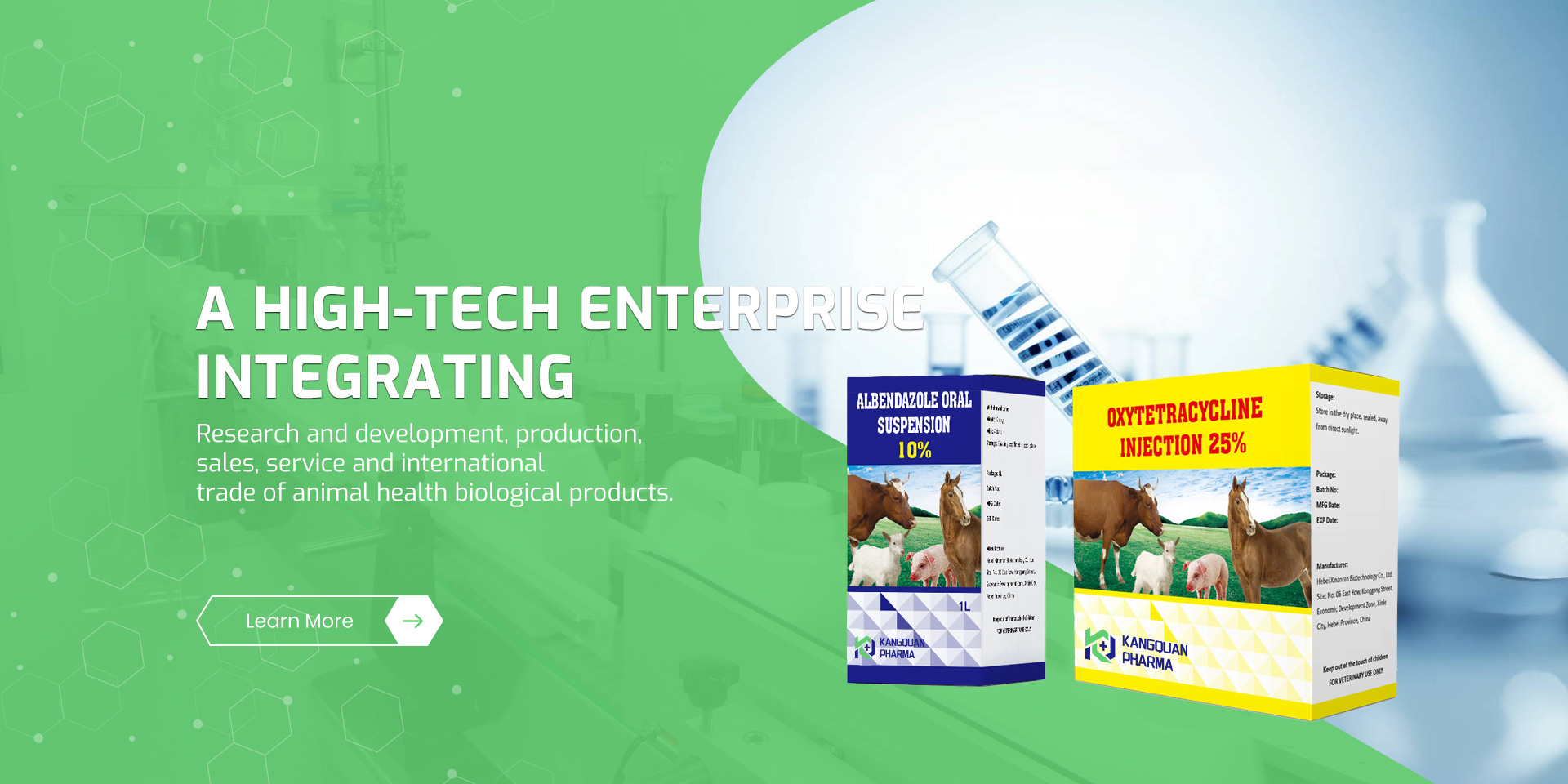 dog multivitamin for homemade food