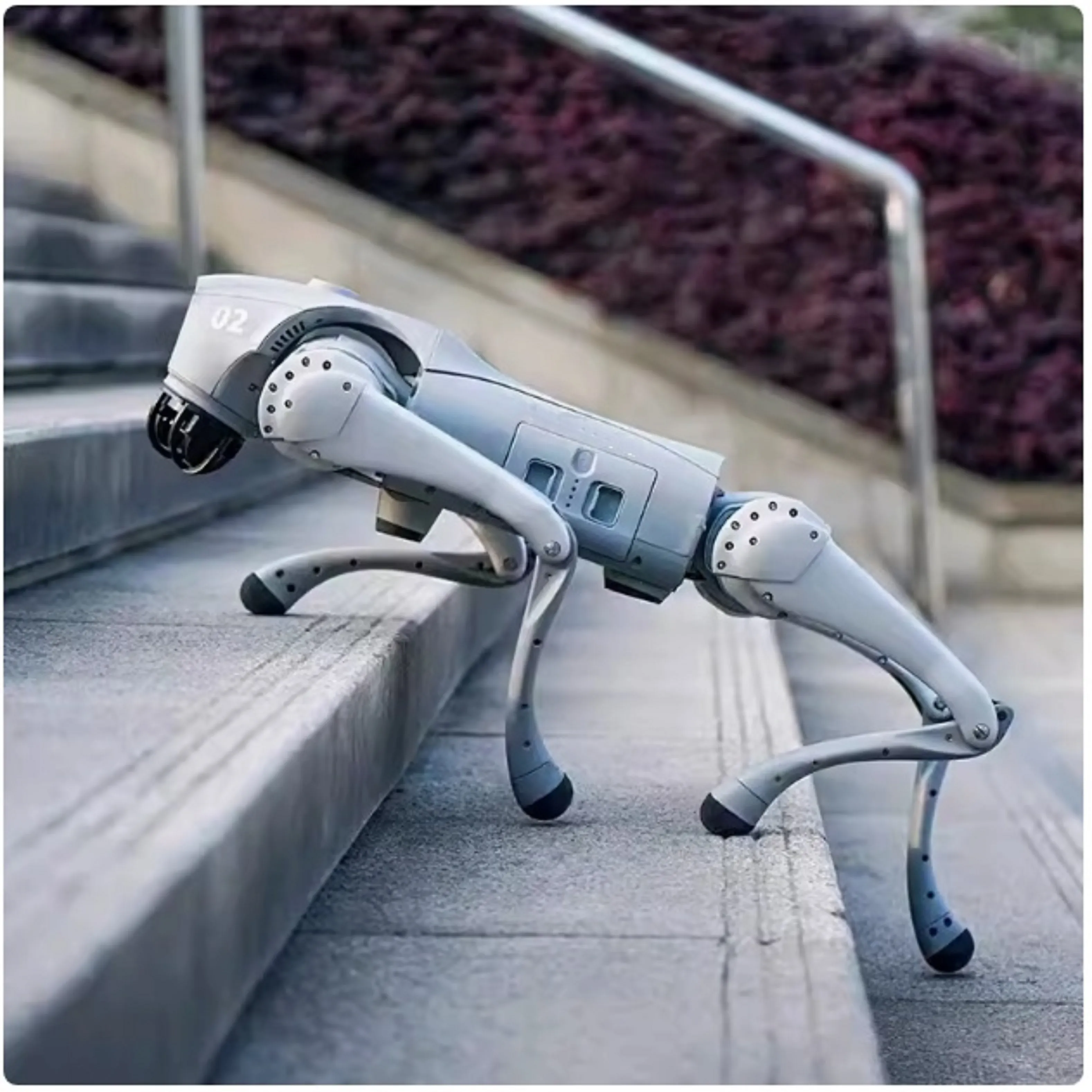 Unleash Your Creativity with Stylish Felt Products