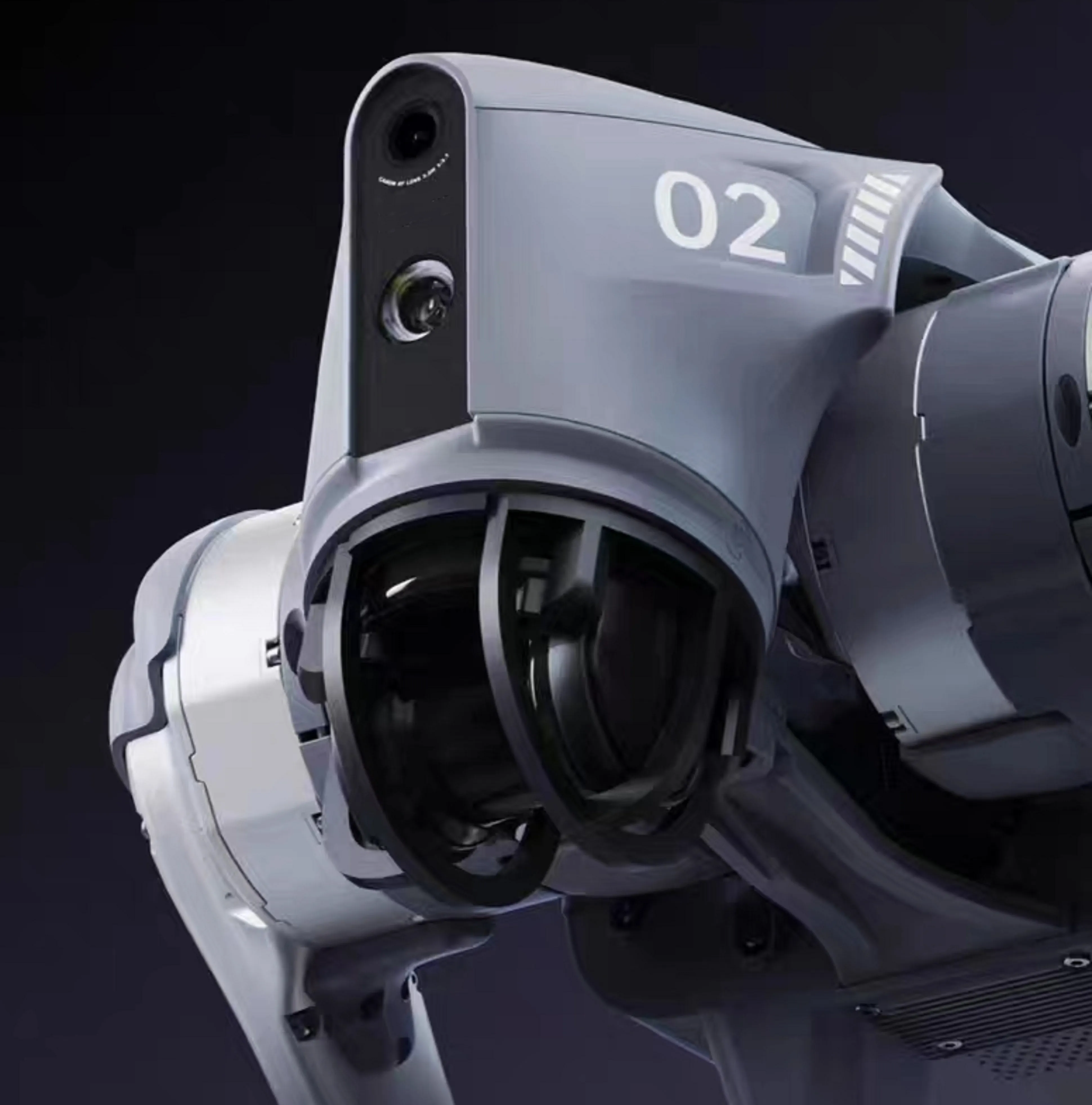 tmr ration for beef cows