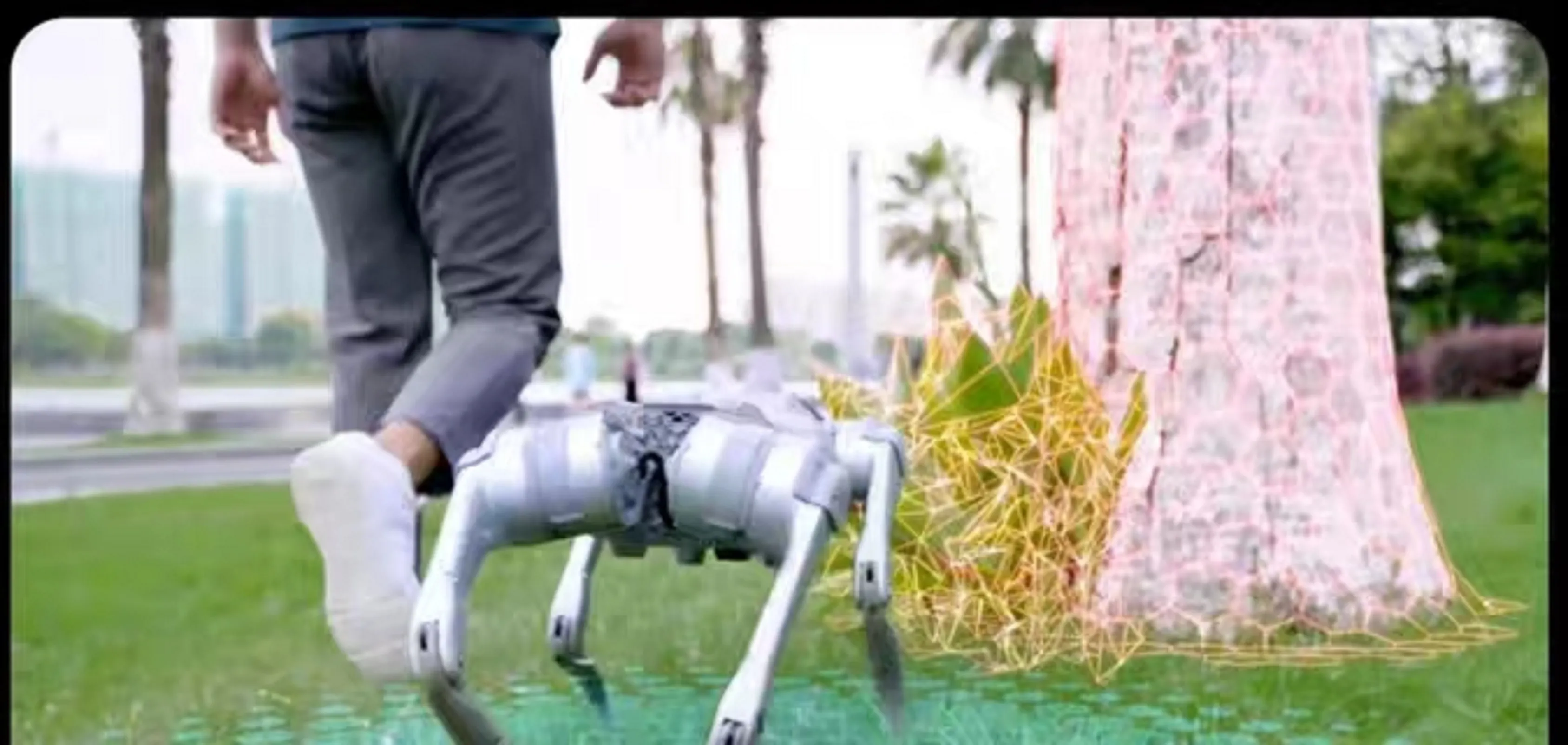 tmr ration for beef cows