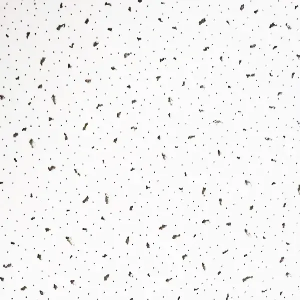 Difference Between Gypsum and PVC Ceiling