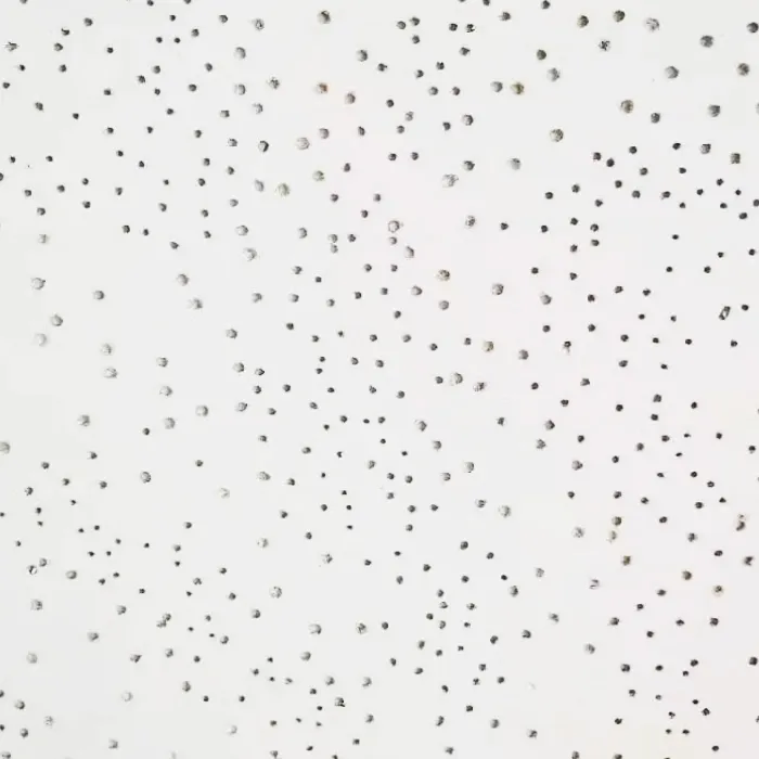 gypsum vs pvc ceiling