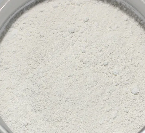 Gut Health Supplements for Leaky Gut Syndrome