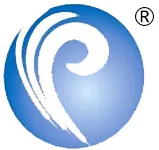 Exploring the Therapeutic Effects and Mechanisms of Pentoxifylline in Vascular Health and Disease Management