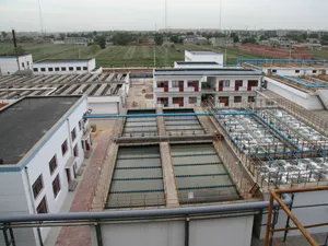 Understanding the Role of API in the Pharmaceutical Industry and Its Importance