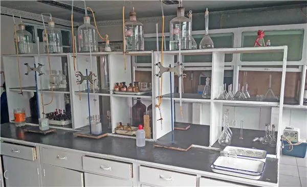 Exploring the Role of PQQ in Mitochondrial Function and Health Benefits