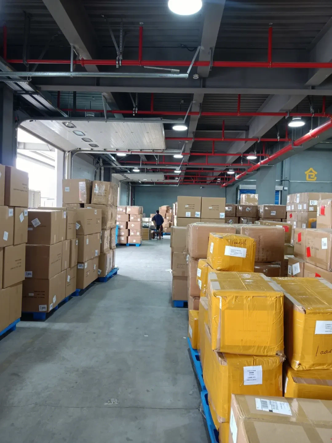 rodzaje chlorowania pdf