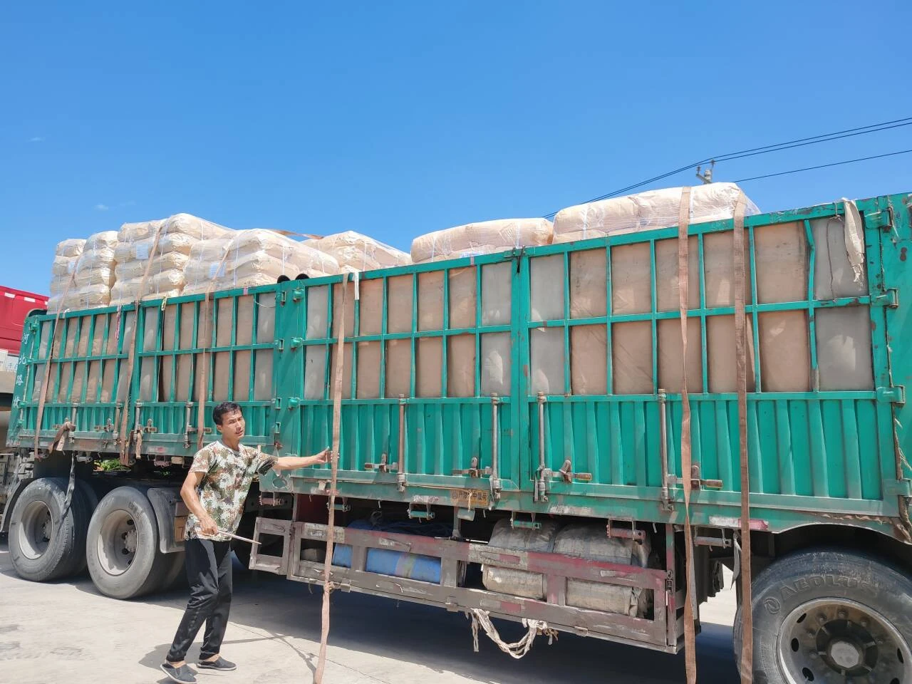 Exploring the Benefits and Applications of PQQ in Modern Science and Health