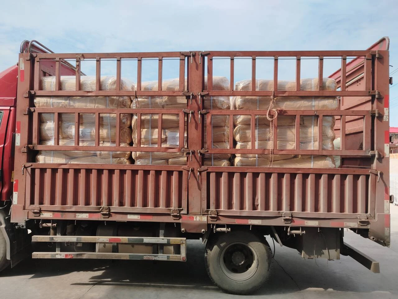 Exploring Natural Factors Influencing PQQ Levels in Health and Wellness Exploring Natural Factors Influencing PQQ Levels in Health and Wellness