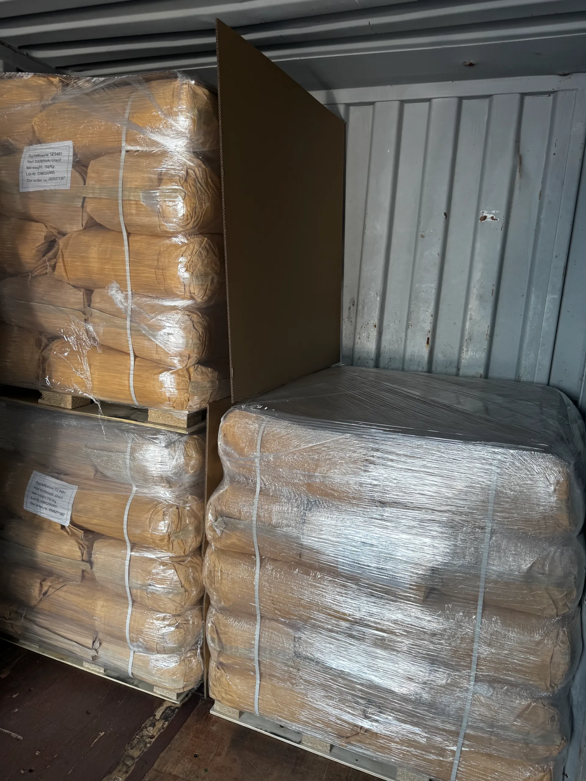 The Anesthetic Effects of Isoflurane on Rodent Experimental Animals