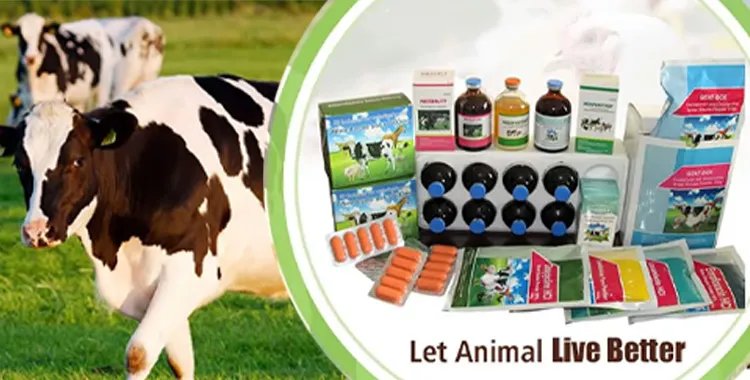 c527d03b2480af5aa7506f615b441c8